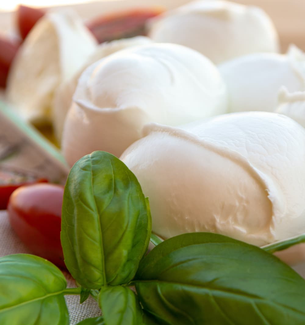 Mozzarella di Bufala Campana DOP - ca. 250g